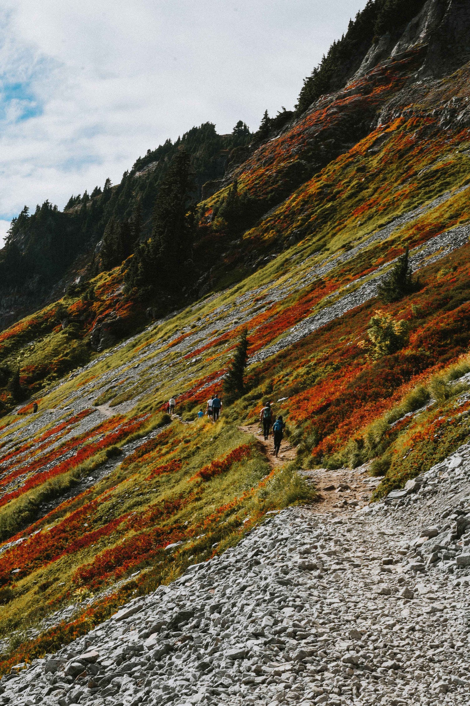 And the Ori Photo Contest Winner Is...