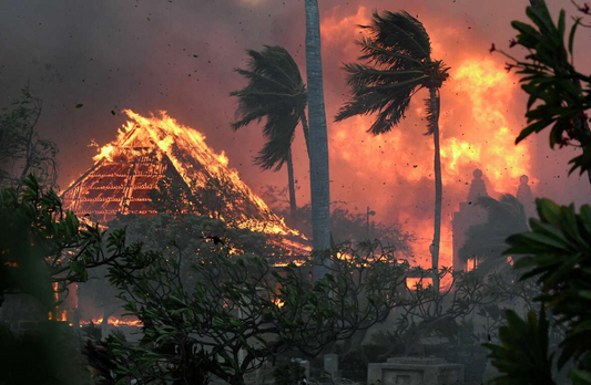 Ways to Donate to Maui Fire Relief