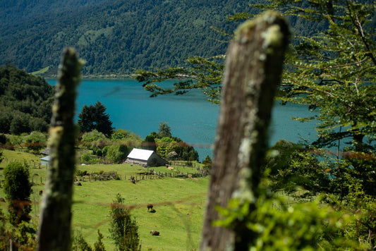 By a Thread: Hotel AWA and Fundacion de Artesenias de Chile Uplift Artists in Patagonia